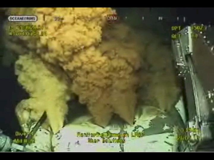cological disaster exploded in the Gulf of Mexico