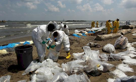 Cleaning up the beach covered in dead Pllicans.